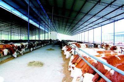 畜禽廢棄物再利用 宣漢開辟綠色發(fā)展之路