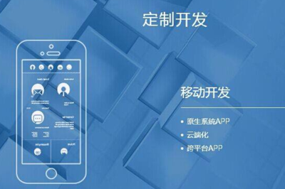 軟件定制開(kāi)發(fā)與標(biāo)準(zhǔn)化軟件開(kāi)發(fā) 企業(yè)視角下的選擇差異